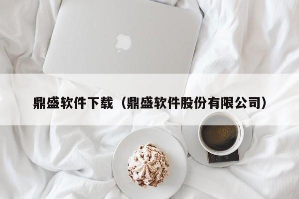 鼎盛软件下载（鼎盛软件股份有限公司）