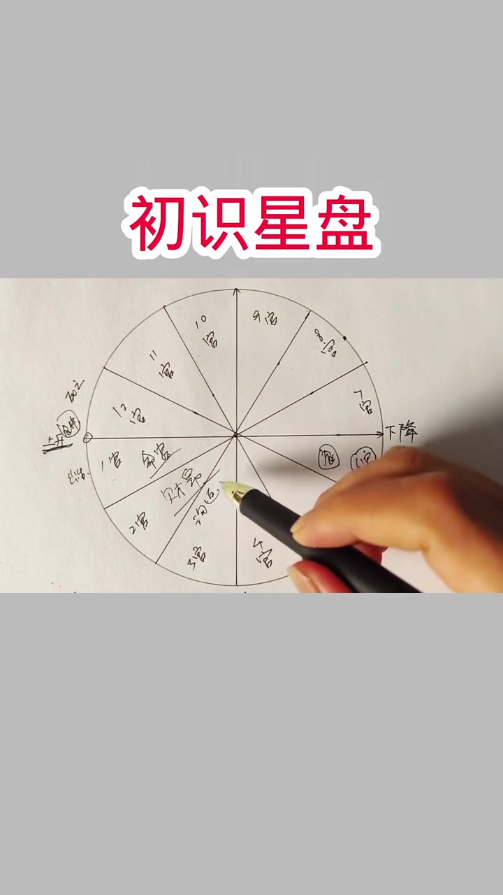 手把手教你看盘(手把手教你看盘子图片)